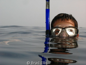 half in, half out by Brad Ellis 